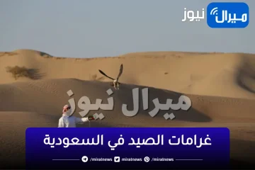 لائحة غرامات الصيد في السعودية