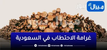 لائحة غرامة الاحتطاب في السعودية