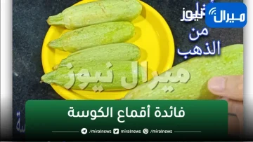 إوعي ترميها تاني.. أقماع الكوسة كنز وأغلى من الذهب وانتي بترميه تعالي أقولك هتعملي بيها إيه