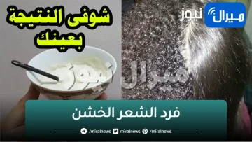 مكون خارق لفرد الشعر الخشن المجعد يجعل شعرك خيوط من الحرير في دقائق