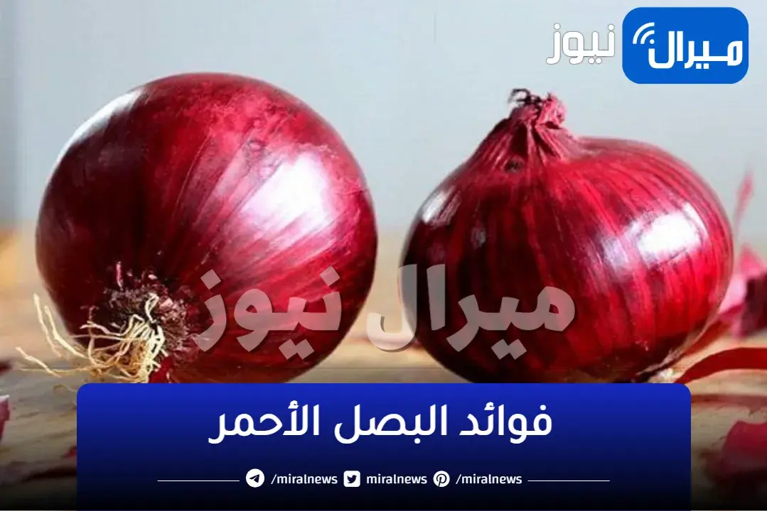 اقوى مضاد حيوي .. هل تعرف ماذا يحدث لجسمك عندما يتم تناول البصل الاحمر
