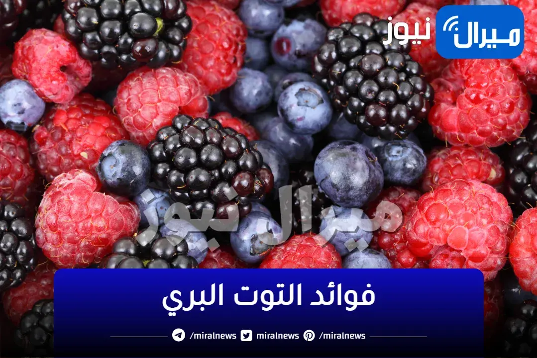 الفاكهة رقم 1 لمرضى السكر ولتنظيف القولون والخلص من الإمساك وإحياء الخلايا المريضة منع تساقط الشعر