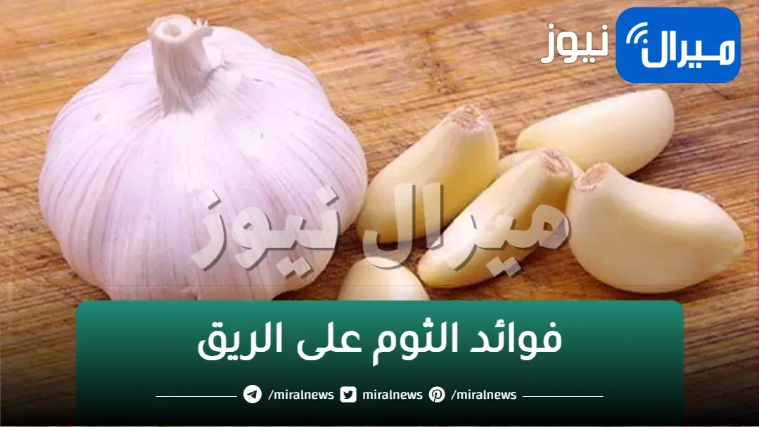 مذهل جداً.. ماذا يحدث لجسمك عند تناول الثوم على معدة فارغة؟