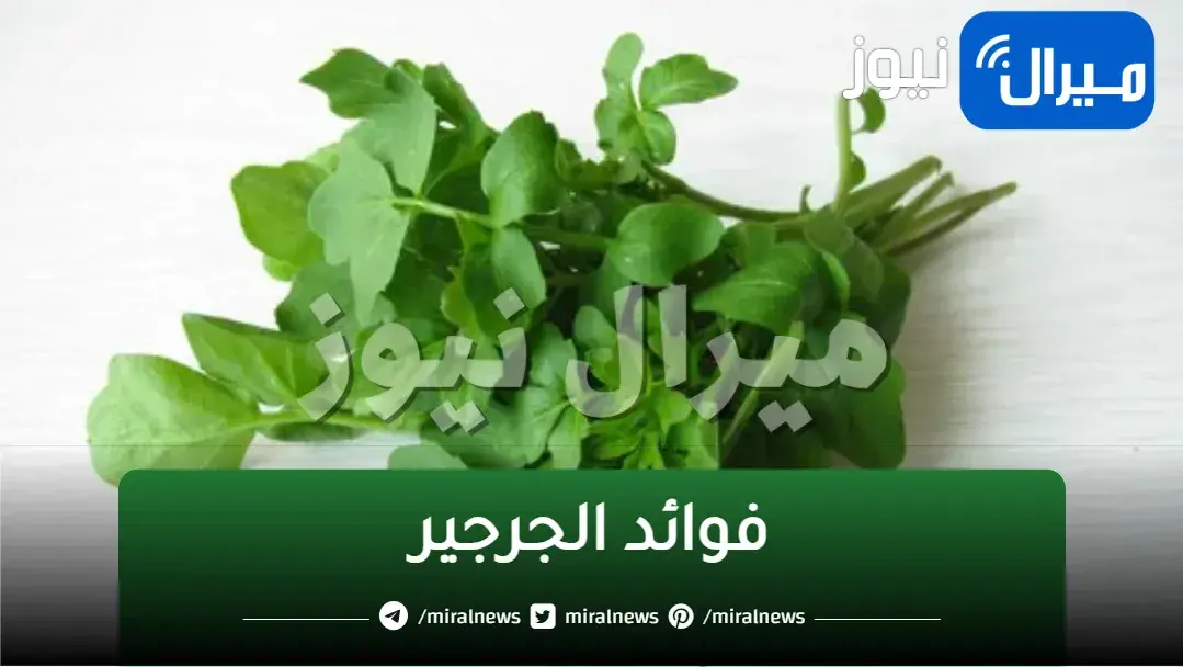 العشبة الجبارة.. متوافرة داخل كل منزل هتغنيك عن الأدوية وترجعك شباب حتى لو عمرك فوق ال 70
