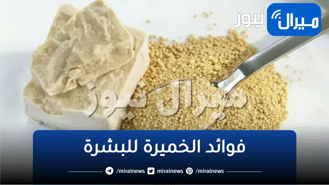 اخلطي الخل مع الخميرة الفورية ومش هتصدقى النتيجة الرهيبة هتندمى انك مجربتهاش من زمان.. جربيها فورا
