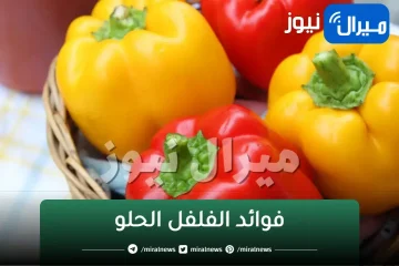 ماذا يفعل تناول الفلفل الحلو لجسمك عند تناوله بشكل يومي؟ ..فوائد مذهلة