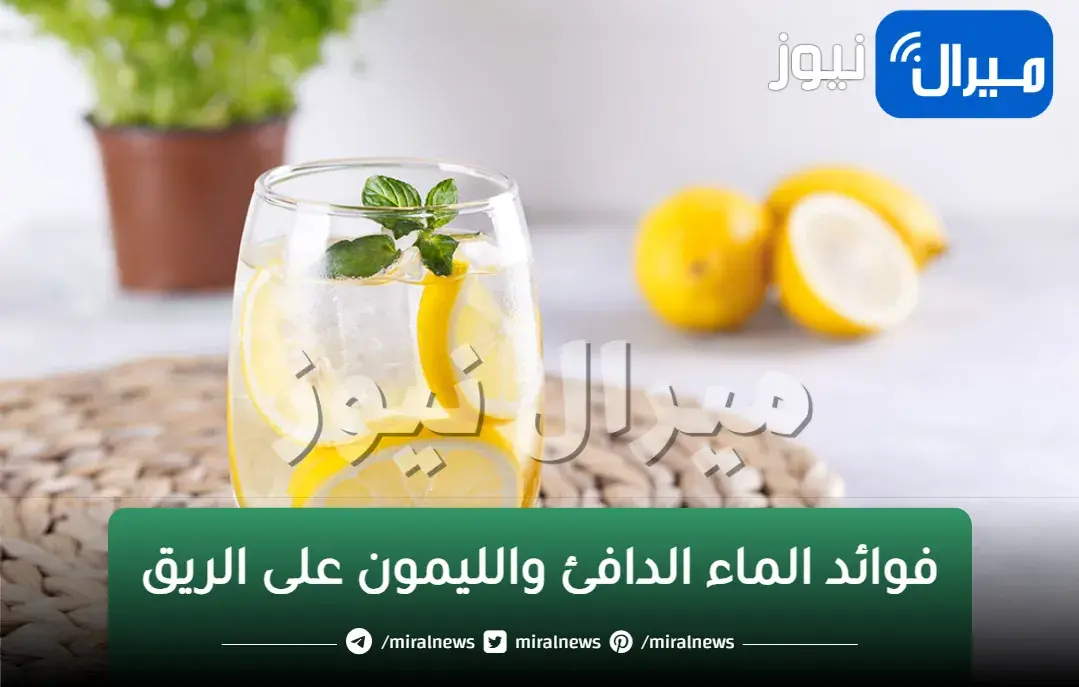 هذا المشروب يقضي على تجاعيد الوجه ومنع حصوات الكلى ومكافة الشيخوخة