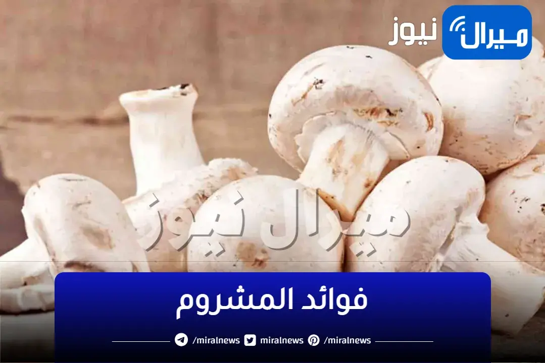 رخيص وصحي- طعام يغنيك عن تناول اللحوم ويقي من السرطان ويساعد على التخسيس