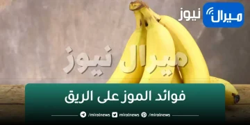 معجزة ربانية.. تناول ثمرة من الموز كل يوم لمدة 7 أيام على الريق وستندهش من النتائج كنز سحري