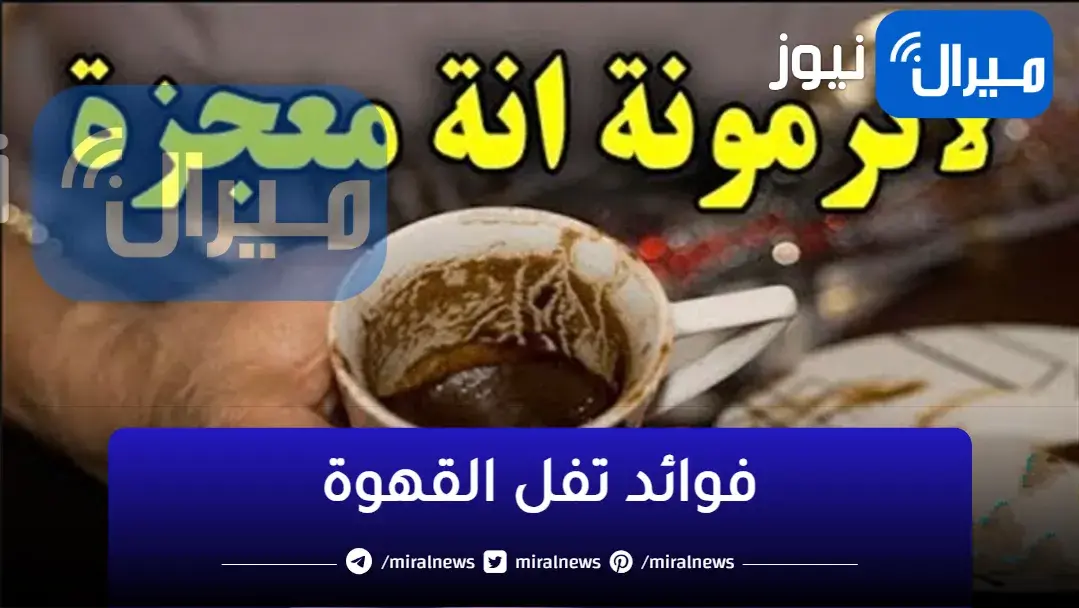 الكنز فى تفل القهوة.. مش هترمية تانى ومش هتصدقى فوائدة واستخداماتة مش هتستغنى عنة للابد