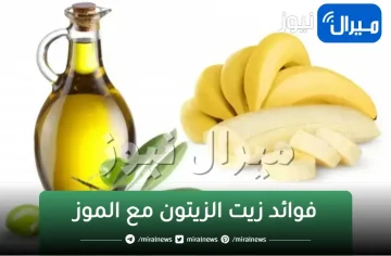 معجزة حولت حلم النساء لحقيقة.. الموز وزيت الزيتون لتحقيق حلمك فى ليلة واحدة والنتيجة مذهلة .. خلطة جهنمية يبحث عنها الجميع لازم تجربوها