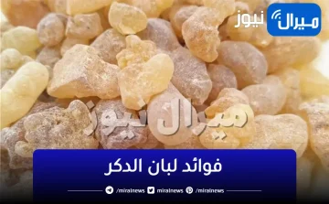 الإجابة ستصدمك.. ماذا يحدث لجسمك عند تناول لبان الدكر يومياً؟!.. إليك التفاصيل