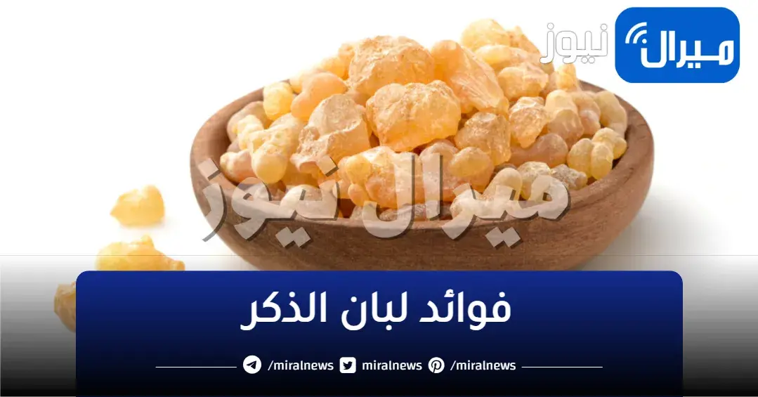 “ترطيب للبشرة وتأخير للشيخوخة” .. تعرف على فوائد لبان الذكر المذهلة