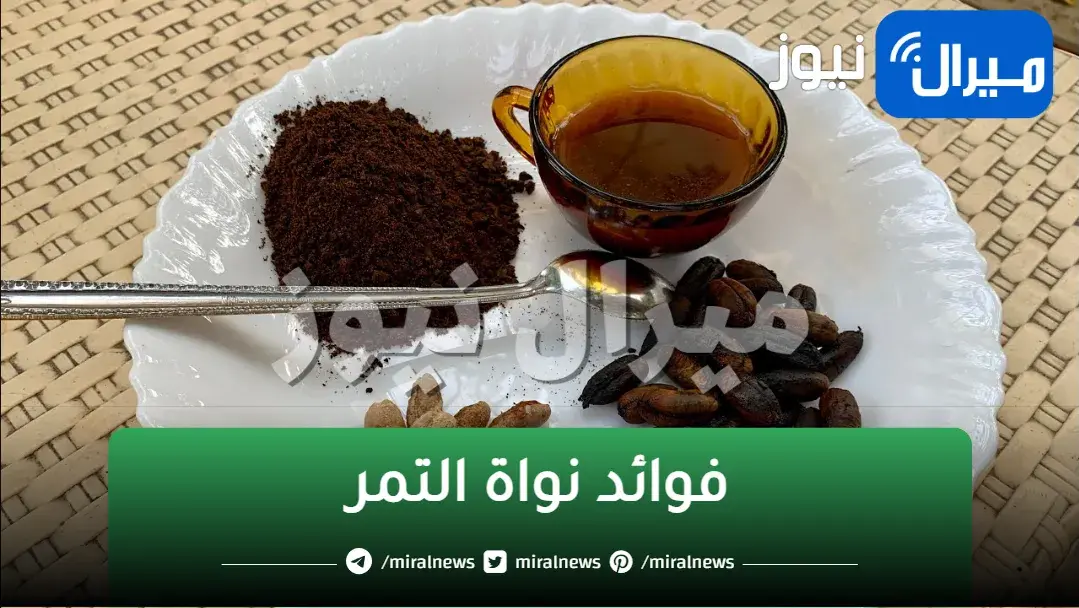 اوعى ترميه تانى.. بذور البلح كنز فى بيتك إياك ترميها لن تصدق فوائدها الجبارة واستخداماتها المذهلة