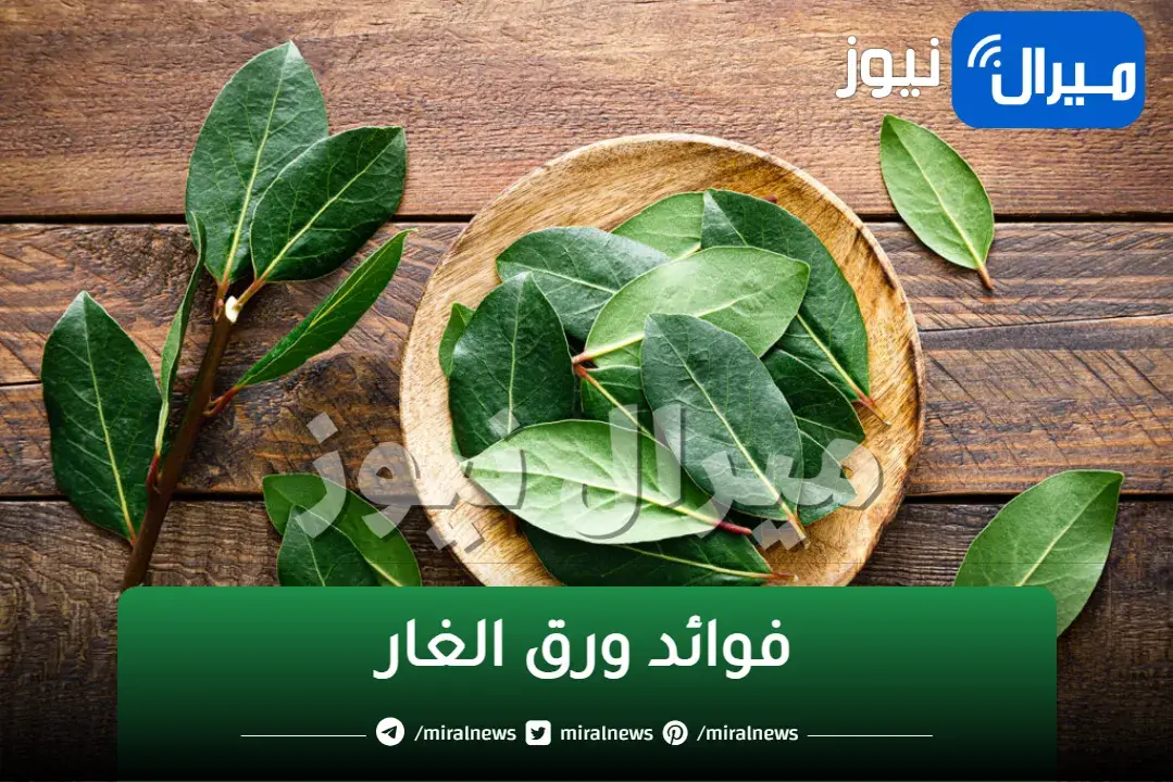 وزنك هيخس النص.. كنز في منزلك يساعدك في التخسيس.. سيجعل بطنك مسطح وشعرك كثيف وخالي من الشيب نهائياً