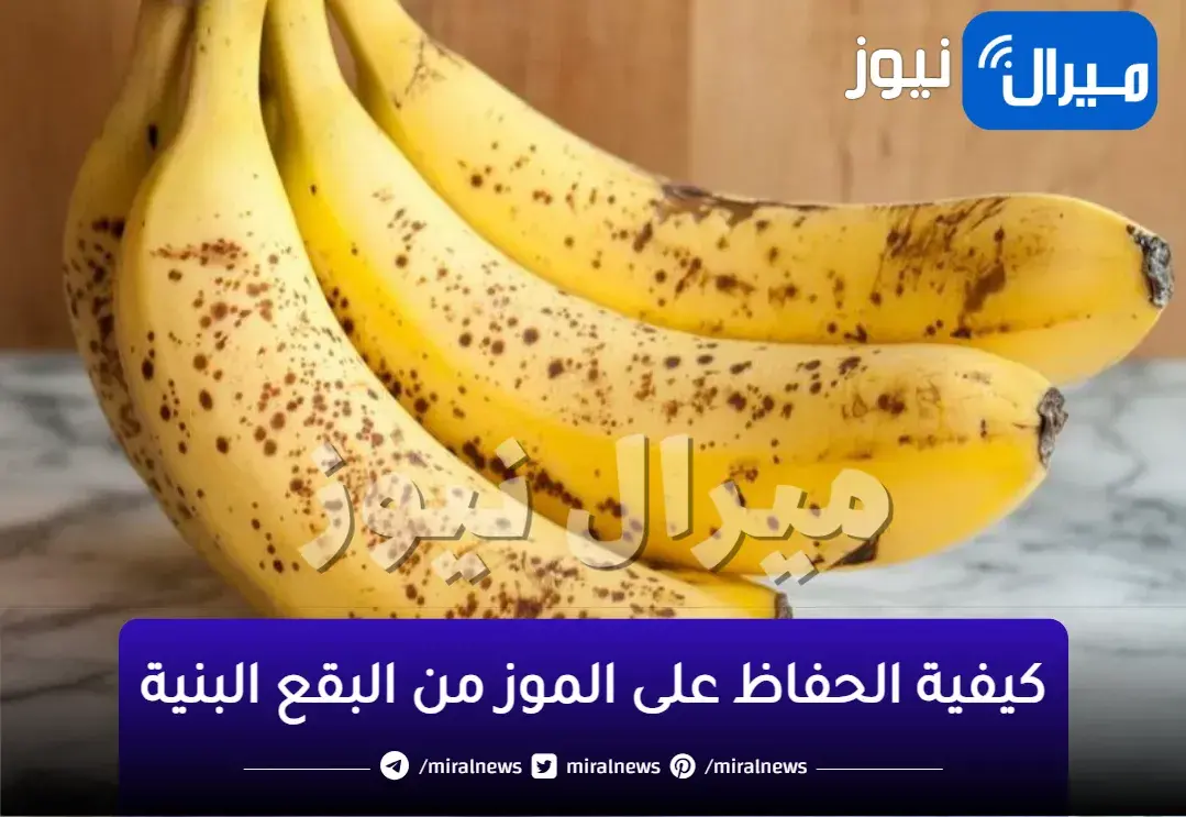 السبب الرئيسي وراء تحول لون الموز إلى الأسود الداكن… كيفية المحافظة عليه طازجًا كـ وقت شرائه