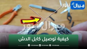 حل مشكلة انقطاع الإشارة في 7 خطوات .. ضاع عمرنا واحنا بنركب “صامولة سلك الدش” غلط!!