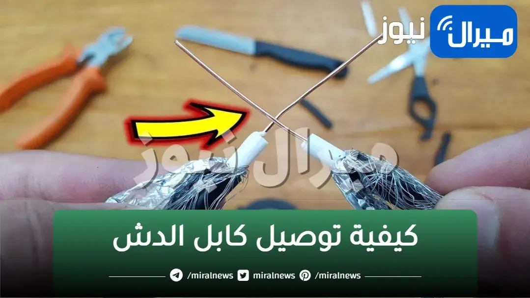 حل مشكلة انقطاع الإشارة في 7 خطوات .. ضاع عمرنا واحنا بنركب “صامولة سلك الدش” غلط!!