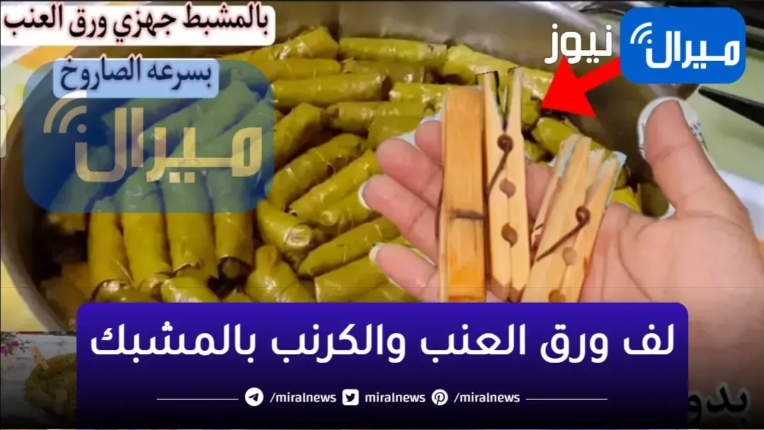 بالمشبك حيلة جهنمية… هتخليكي تلفي الكرنب وورق العنب في غمضة عين جربيها ومش هتبطلي تستخدميها