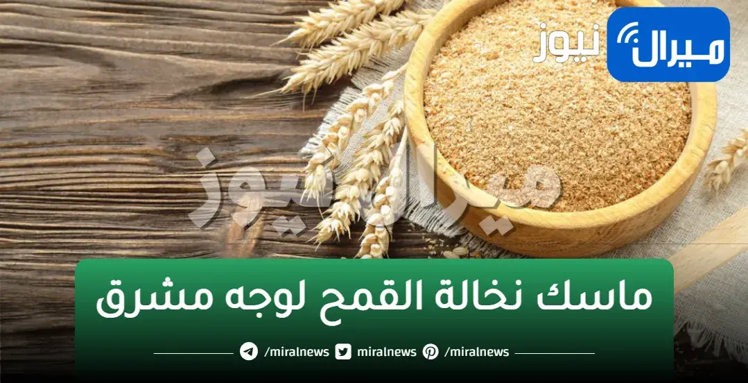 للبياض الصافي.. ماسك نخالة القمح لوجه مشرق ومنور من اول استعمل معنا تعرفي على السر