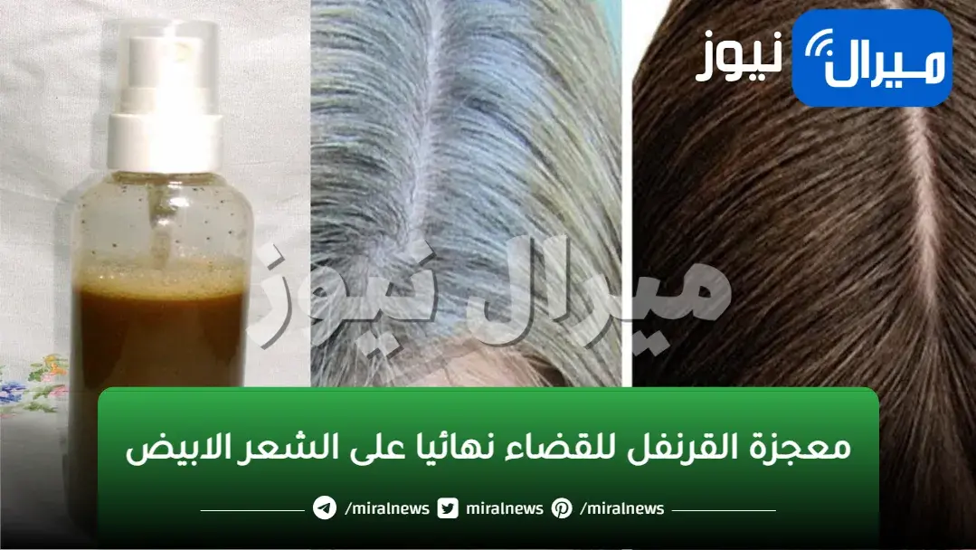 معجزة القرنفل للقضاء نهائيا على الشعر الابيض بدون رجوع وبدون تكاليف ولا مواد كيميائية.. هتبهرك النتيجة