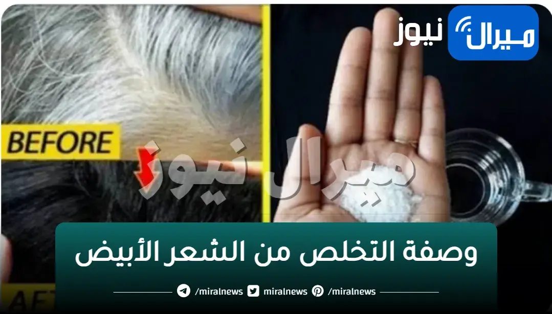 وصفة التخلص من الشعر الأبيض بطريقة طبيعية في المنزل وداعاً لشيب شعرك بشكل نهائي