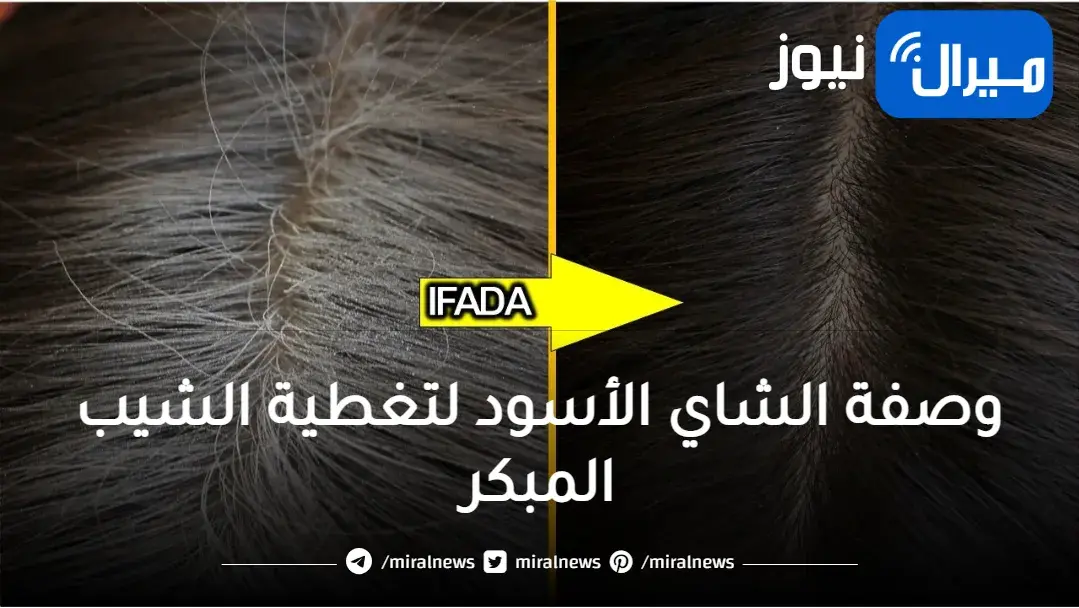 خلطة الشاي الأسود الجبارة في تغطية الشيب المبكر والتخلص من الشعر الأبيض