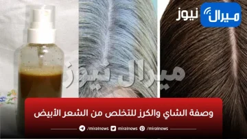“يارتني عرفت من زمان”.. طريقة صبغ الشعر الأبيض من الجذور حتى الأطراف للتخلص من الشيب بنسبة 100%