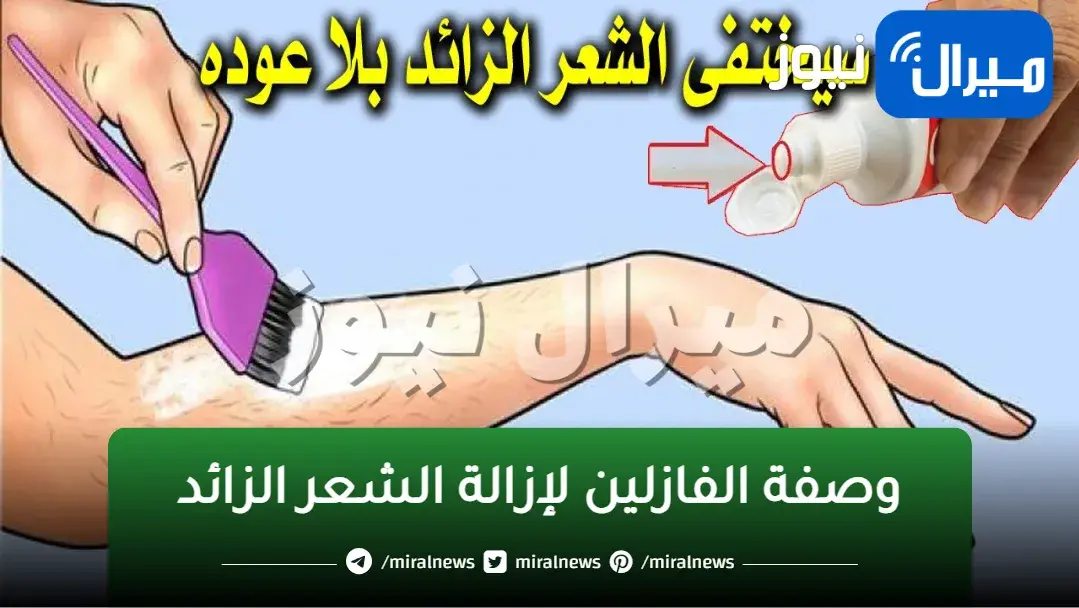بمعلقة واحدة من الفازلين السحري سوف تخلصك نهائياً من الشعر الزائد الموجود في المناطق الحساسة ويساعد في تفتيح الجسم