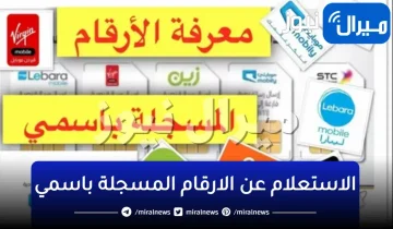 الاستعلام عن الارقام المسجلة باسمي