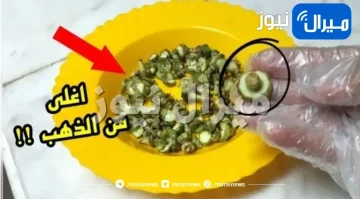 “وداعاً للبروتين”..أغلي من الذهب كنز في بيتك من عصيان البامية مش هترميها تاني