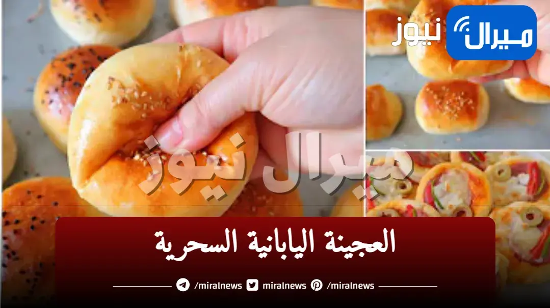 اسرار العجينة السحرية اليابانية لجميع المخبوزات عيش وبيتزا وفطائر هشة وقطنية بطعم وهمى بطريقة الشيفات والمحلات