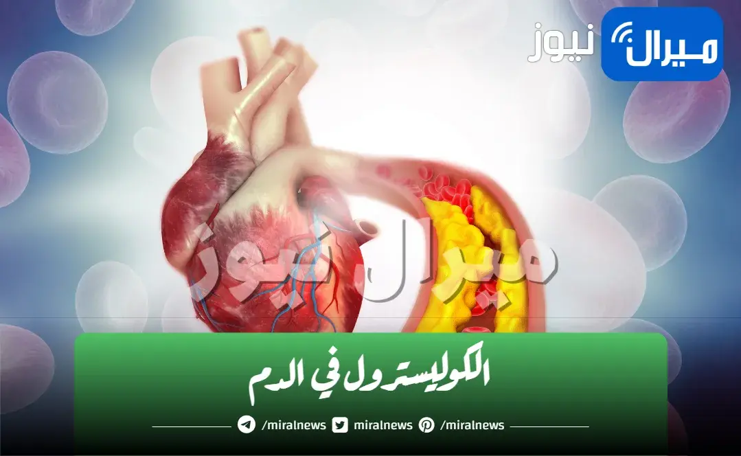 “خلى بالك” .. كوب واحد من هذا المشروب يرفع الكوليسترول في الدم ويسبب الجلطات.. توقف عنه فوراً