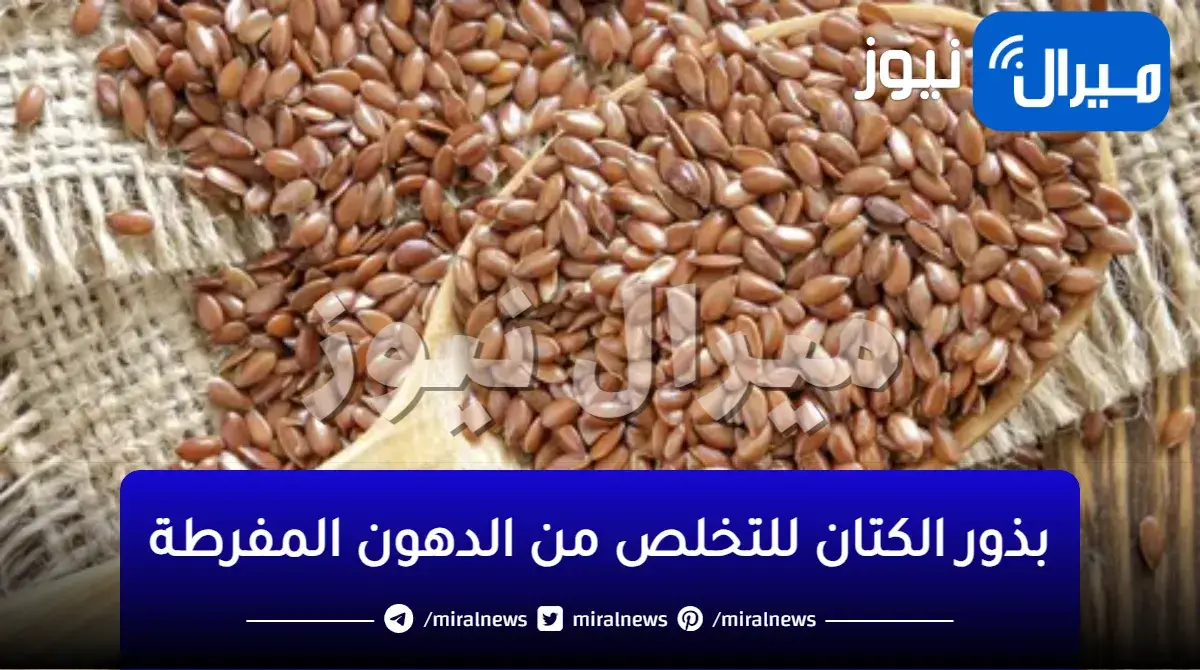 البذور السحرية.. لتفتيت ونسف دهون البطن والارداف والاجناب فى 3 ايام بدون ريجيم ولا حرمان هتتصدمى من النتيجة الرهيبة