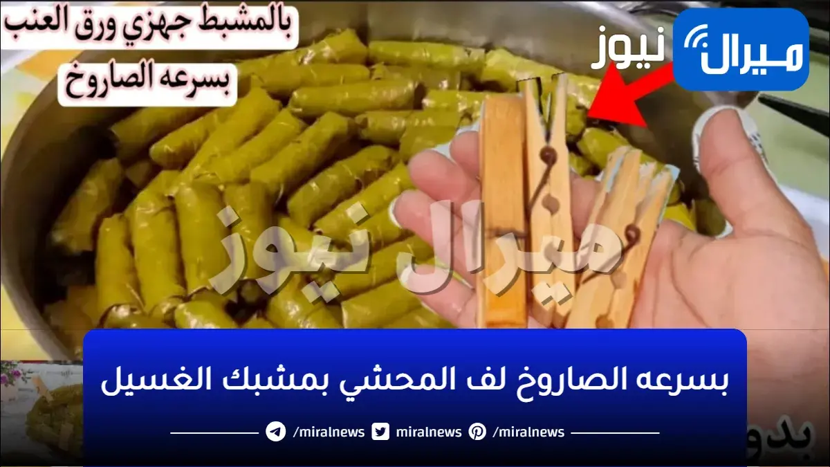 النهاردة هقولك سر السرعة… بمشبك الغسيل مشاكلك في لف المحشي كلها هتتحل