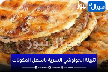 الحواوشي على اصوله وسر تتبيلة لحمة الحواوشي والتسوية الصح عشان مينشفش منك