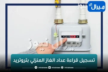 تسجيل قراءة عداد الغاز المنزلي بتروتريد.. تعرف على خطوات سداد فاتورة الشهر