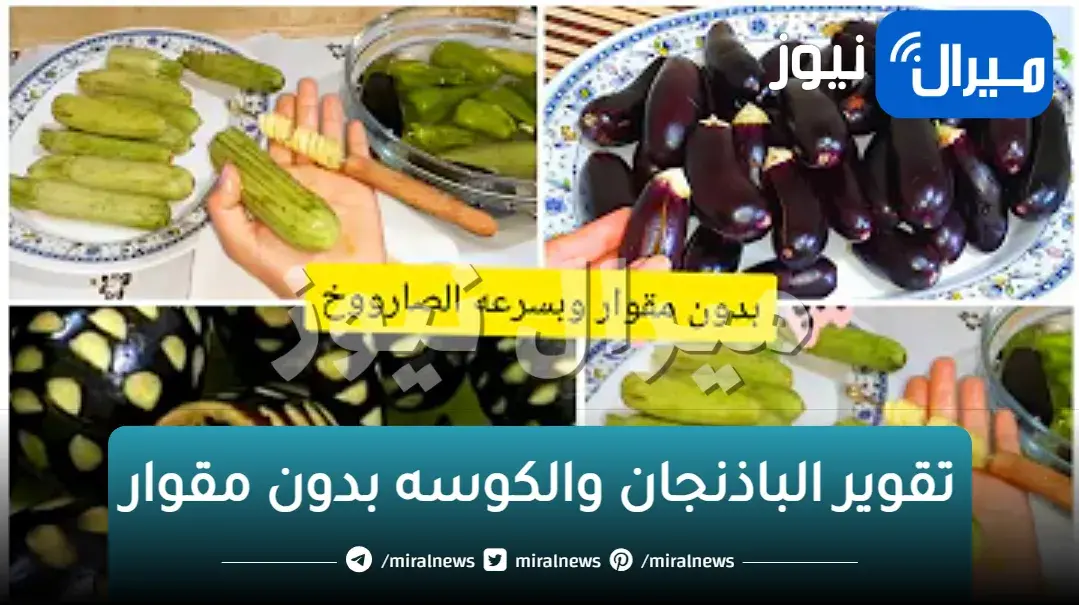 لوقدامك 20كيلو كوسه وبتنجان هتقوريهم في ثواني وبسرعه الصاروخ وبدون مقوار بحاجه متخطرش