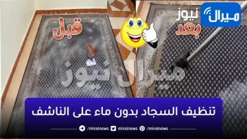 “ الخلطة السحرية ”.. كيف يمكن تنظيف السجاد بدون ماء على الناشف بالخل والملح في ٢٤ ساعة