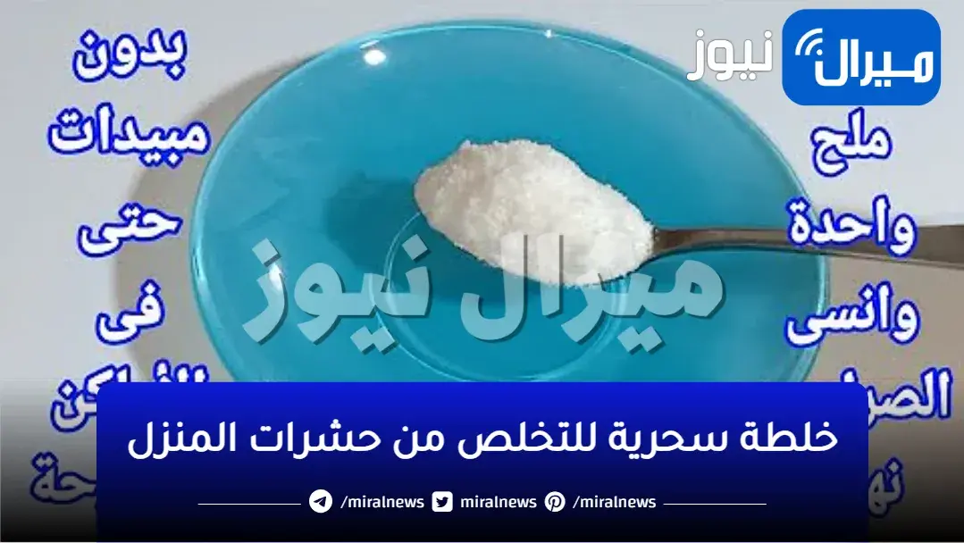 بمكونات موجودة في كل بيت.. خلطة سحرية للتخلص من الصراصير والنمل والناموس في ثواني بدون مبيدات