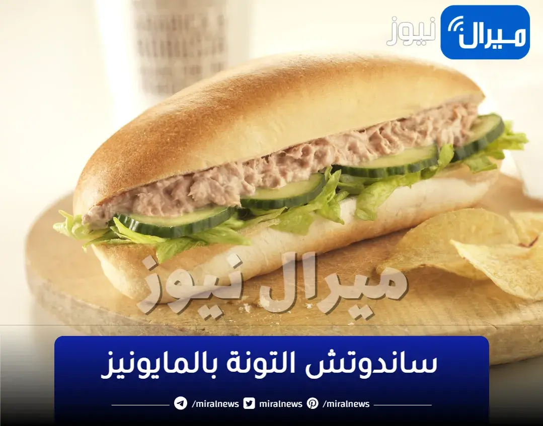 أسرع طريقة لعمل تونة بالمايونيز والبصل بخطوات بسيطة وسهلة لتجهيز ساندوتش التونة
