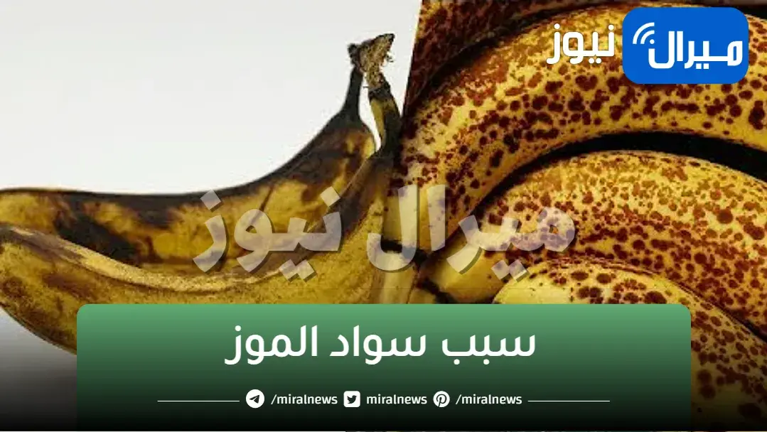 “اتحداك تكون عارف السبب ده”.. ما هو السر وراء وجود بقع سوداء على الموز وكيفية التخلص منها