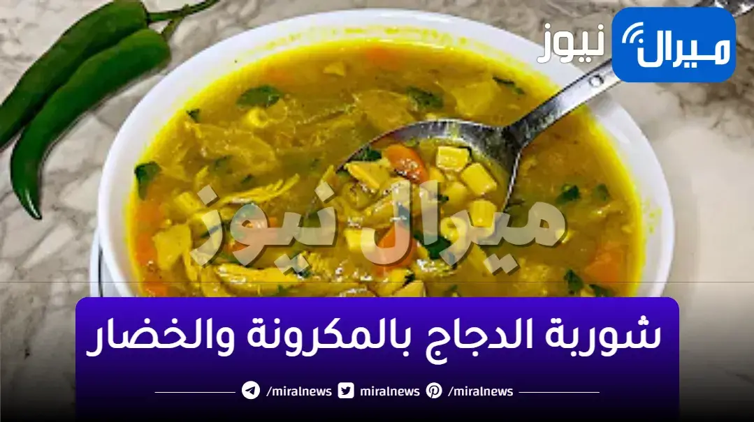 شوربة الدجاج بالمكرونة والخضار .. الطريقة والمقادير والفوائد الصحية