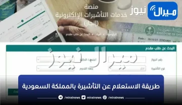 خطوات الاستعلام الالكتروني عن التأشيرة بالمملكة العربية السعودية باستخدام رقم الجواز