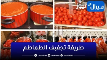 ثلاث طرق لتجفيف الطماطم وكيفية تخزينها