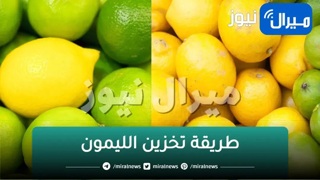 طريقة تخزين الليمون لفترة طويلة بدون تلف لاستخدامه في العديد من الاستخدامات