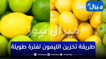 معلقة واحدة من هذا المكون السحري سوف تخزني الليمون لفترة طويلة خارج وداخل الثلاجة