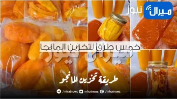 طريقة تخزين المانجا.. وسائل متعددة أبرزها المكعبات والسليمة تجعلها طازجة لمدة عام كامل