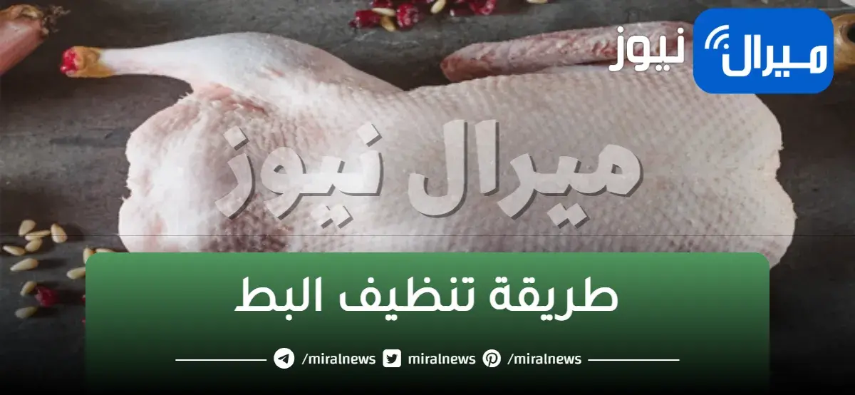 طريقة تنظيف الريش الصغير للبط فى ثوانى وكمان طريقة ازالة زفارة البط نهائى