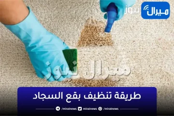 ودعي الغسيل من النهاردة.. 3 طرق سهلة وسريعة لتنظيف بقع السجاد